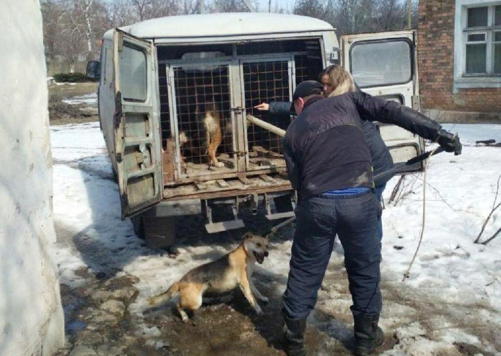 https://newsua.ru/news/11775-sluzhba-po-otlovu-brodyachikh-zhivotnykh-v-gorlovke-prosit-zhitelej-ne-pryatat-i-ne-podkarmlivat-brodyachikh-sobak