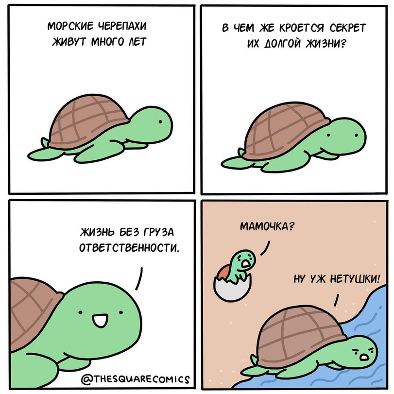 Источник - Яндекс.Картинки