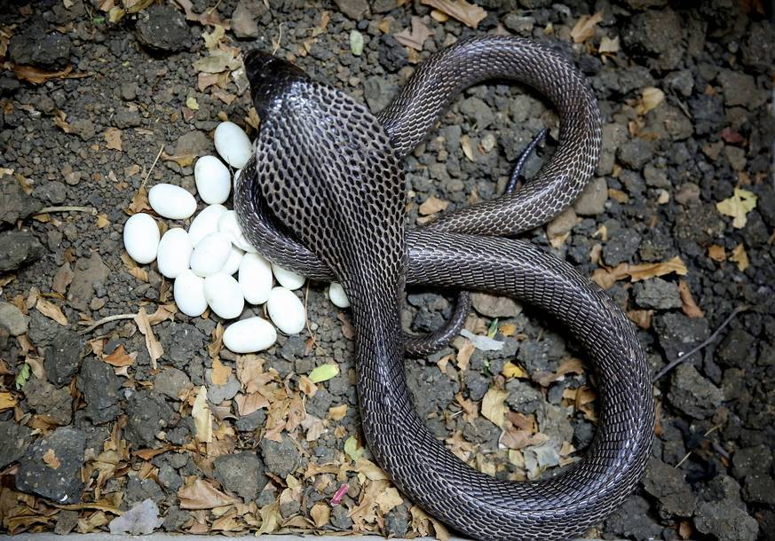 Источник - Яндекс.Картинки