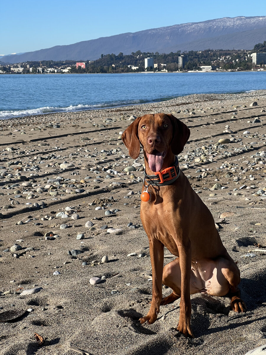 Гуляем по пляжу рядом с домом 