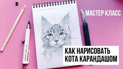 КАК РИСОВАТЬ КОТА КАРАНДАШОМ