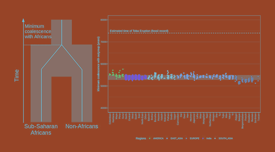   N + 1; Elise Kerdoncuff et al. / bioRxiv, 2024