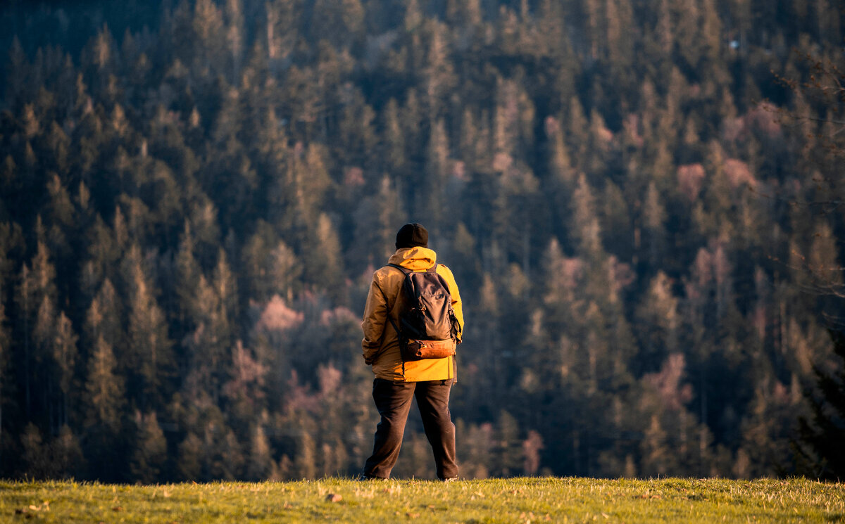 <a href="https://ru.freepik.com/free-photo/man-is-looking-at-the-forest-in-the-middle-of-the-mountain_19964006.htm#fromView=search&page=1&position=40&uuid=e8edc7b3-5ba5-400c-b65d-98aec06474cb">Изображение от wirestock на Freepik</a>