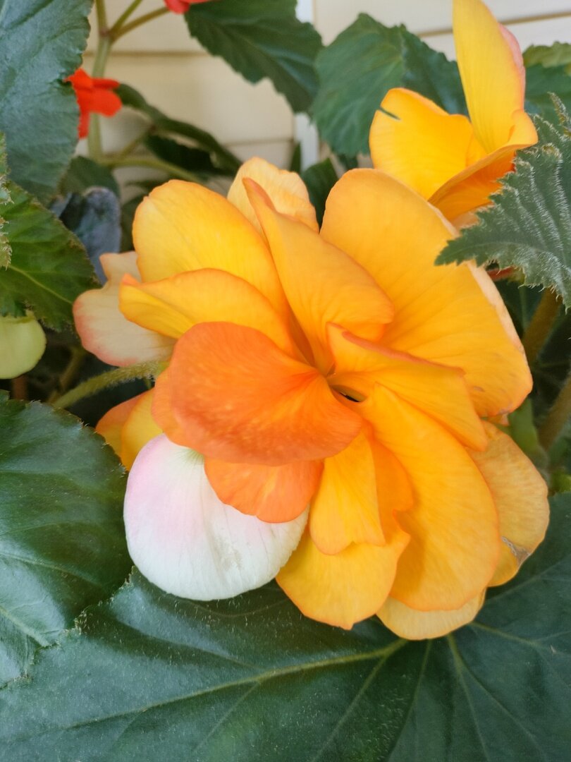 Если ещё раз дотронешься до моей дочери, покинешь квартиру, — муж не ...