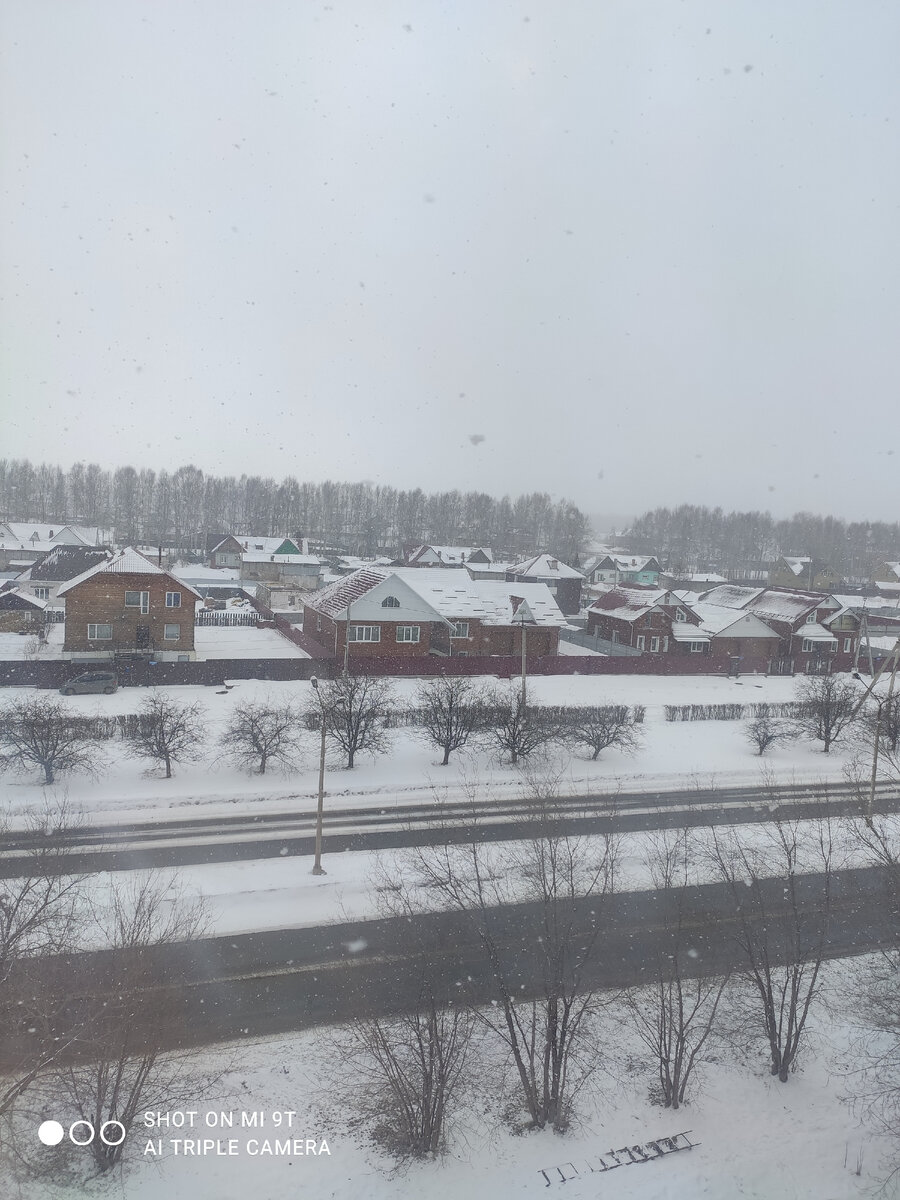 Погода за окном 