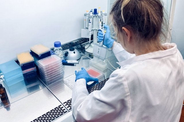    Правда ли, что нельзя пить воду перед сдачей крови?