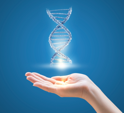 Мы можем влиять на нашу ДНК