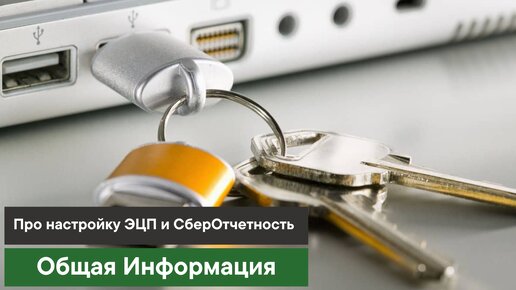 Про настройку ЭЦП и СберОтчетность: общая информация