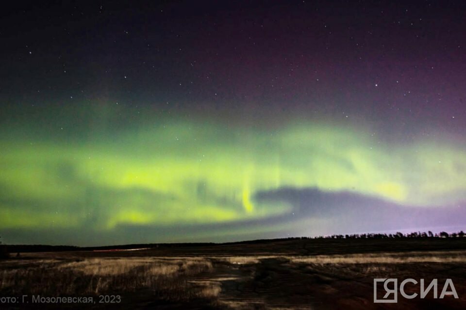    Фото: Галина Мозолевская Николай Борисов