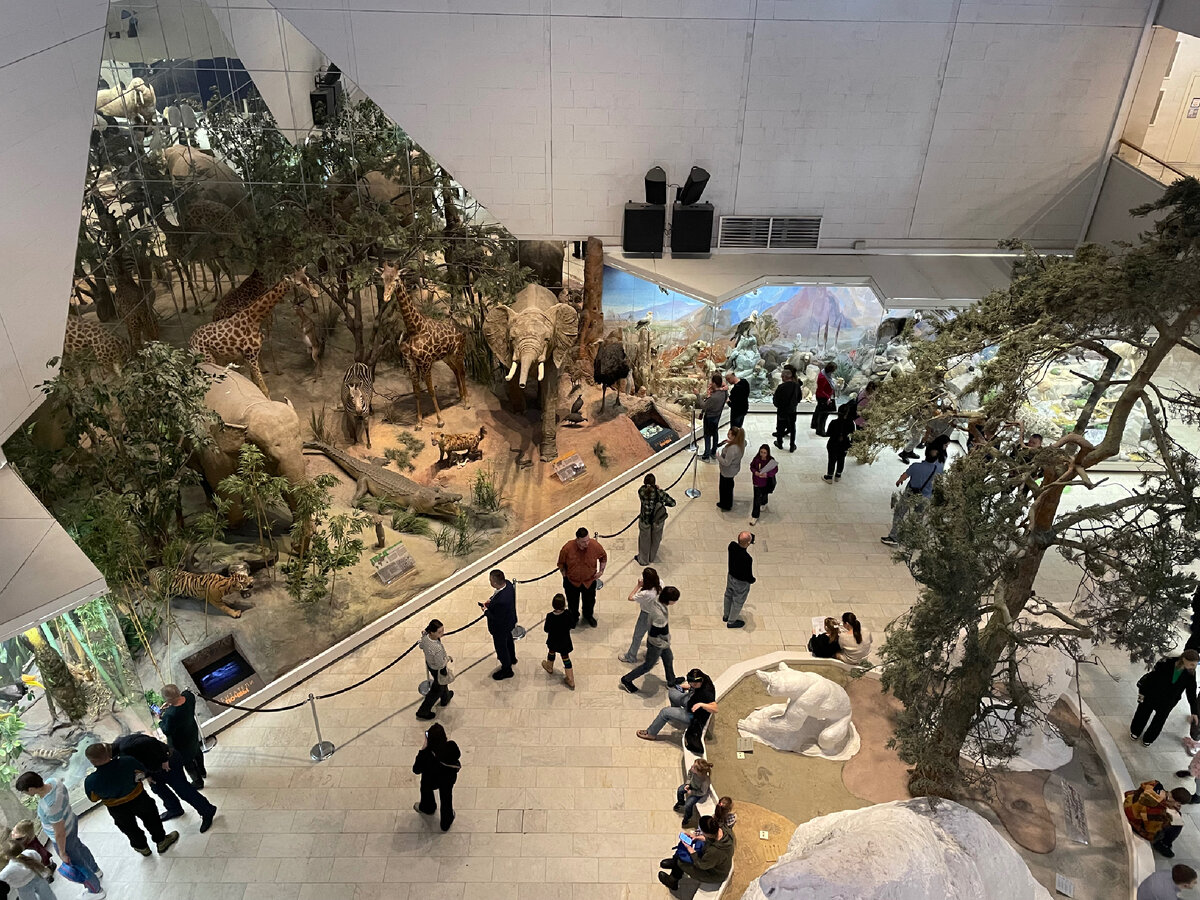 1 этаж с экспонатами 