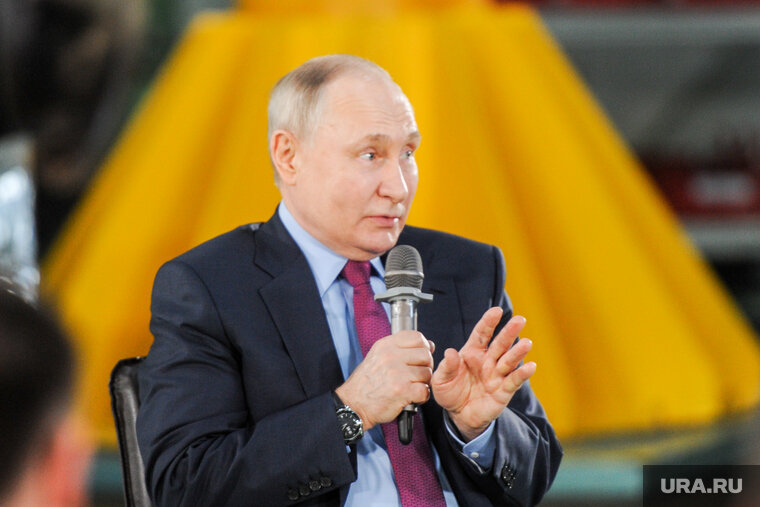    Слова Владимра Путина о медведе и тайге стали крылатыми