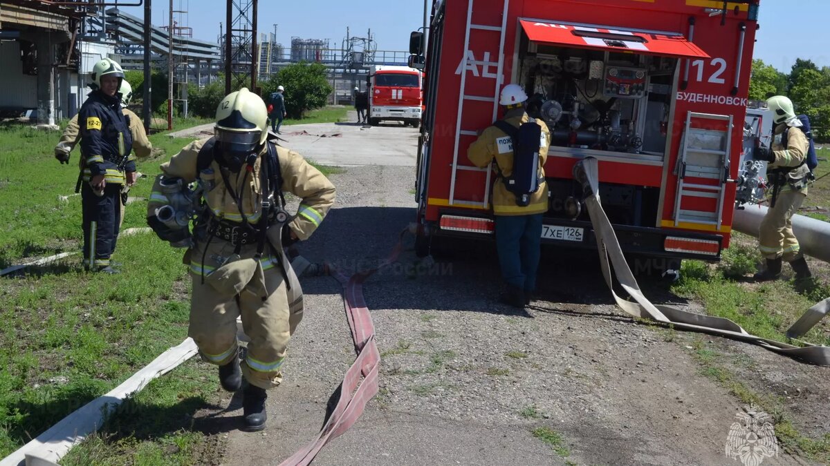 Когда волна природных пожаров накроет Ставрополье | newstracker.ru | Дзен