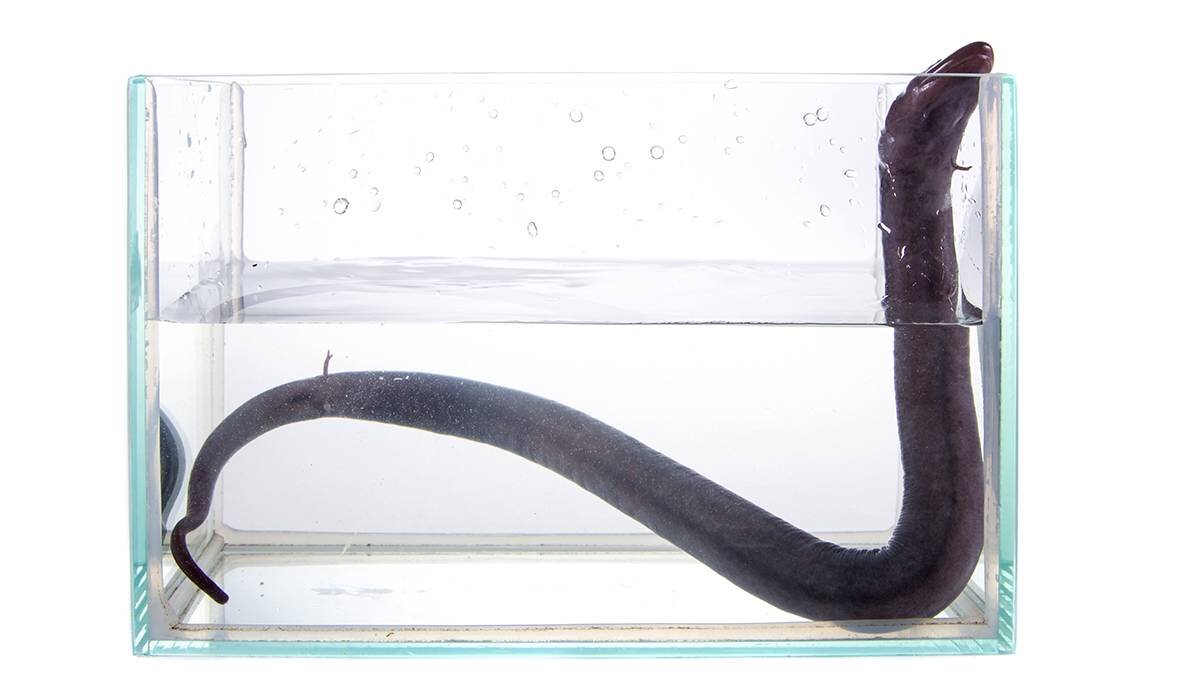    Фото: Shutterstock