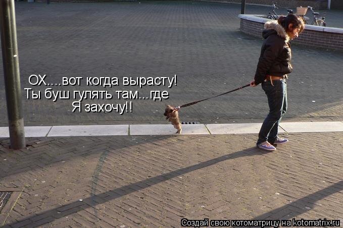 Яндекс картинки.