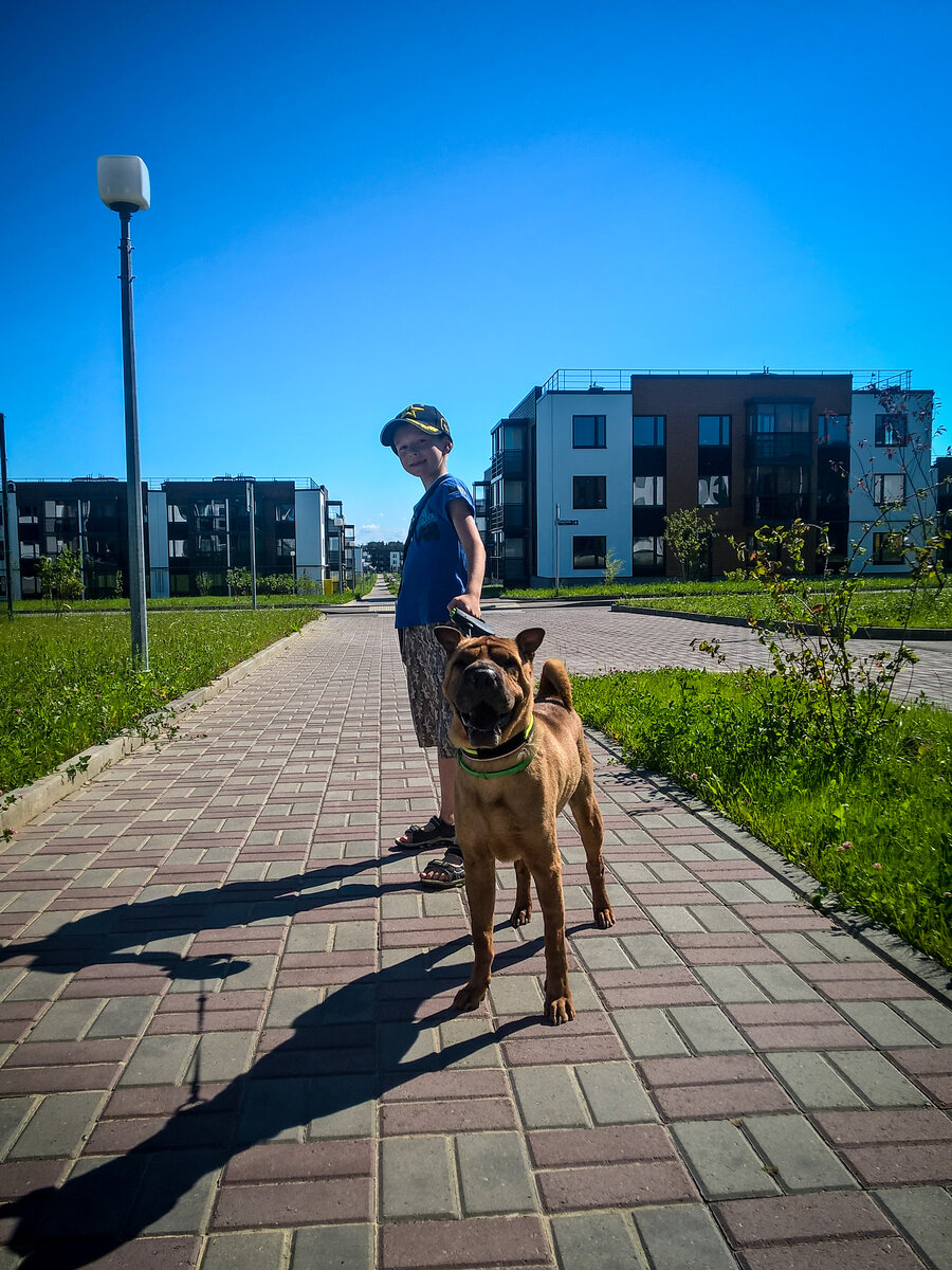 Я с нашей собакой Масяней