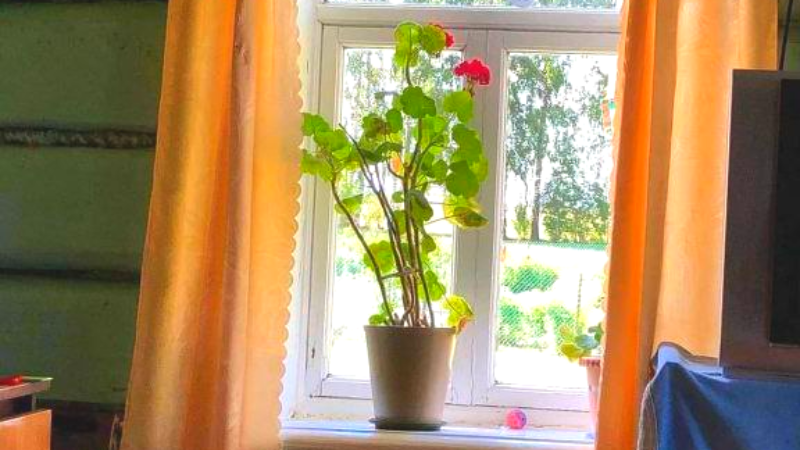 У меня всегда и везде порядок