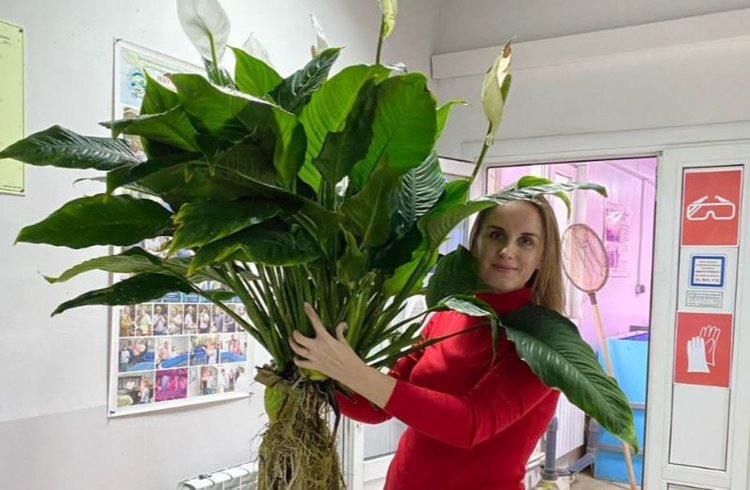    Аквапоническую систему для выращивания «женского счастья» создает ботаник Татьяна Польшина