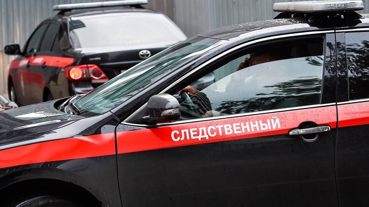 Фото: https://tvzvezda.ru/ (https://mcdn.tvzvezda.ru/storage/news_other_images/2023/08/09/1b3797c760094c2ca237b2f87af77000.jpg)