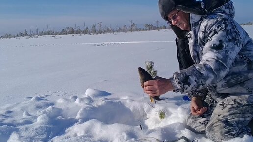 Охота пенсионера в сибири видео и рыбалка. Охота на уток сибирский странник осень 2020. Рассказы охотников о необъяснимом в тайге. Охота и рыбалка в сибири. Охота пенсионера в сибири видео и рыбалка.