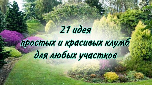 21 идея простых и красивых клумб для любых участков