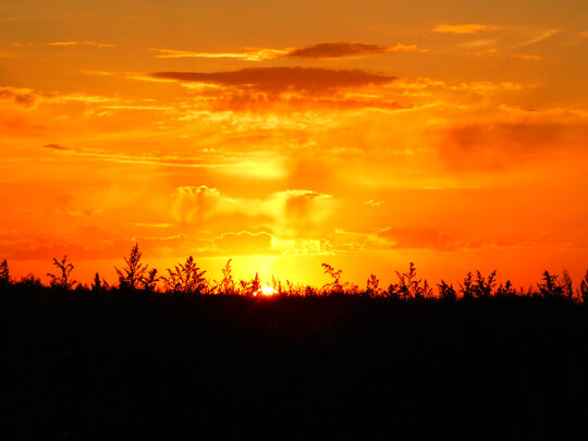 красивые фото позови меня. я обещаю стих. только позови. картинки ты только позови и я приду. во бору брусника 1989.