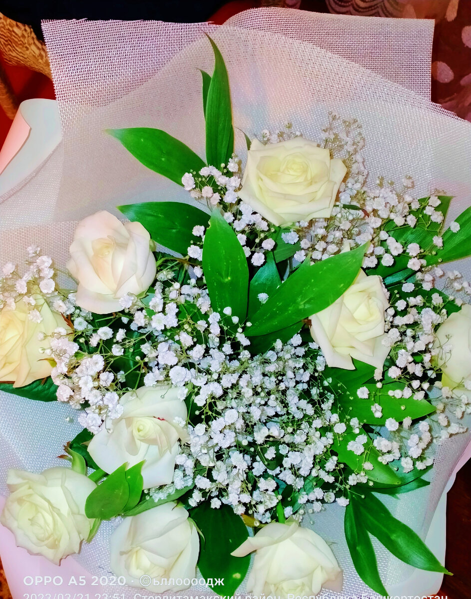 в этот день передо мной на коленях стоял БМ и просил вернуть все обратно...