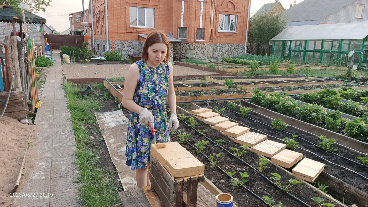 крашу деревянные штучки для ножек уличного бассейна. Вид у меня прям серьёзный))). Фото прошлого года. 