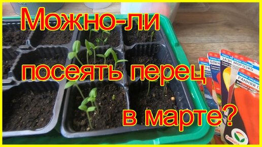 Когда сеять перец в марте