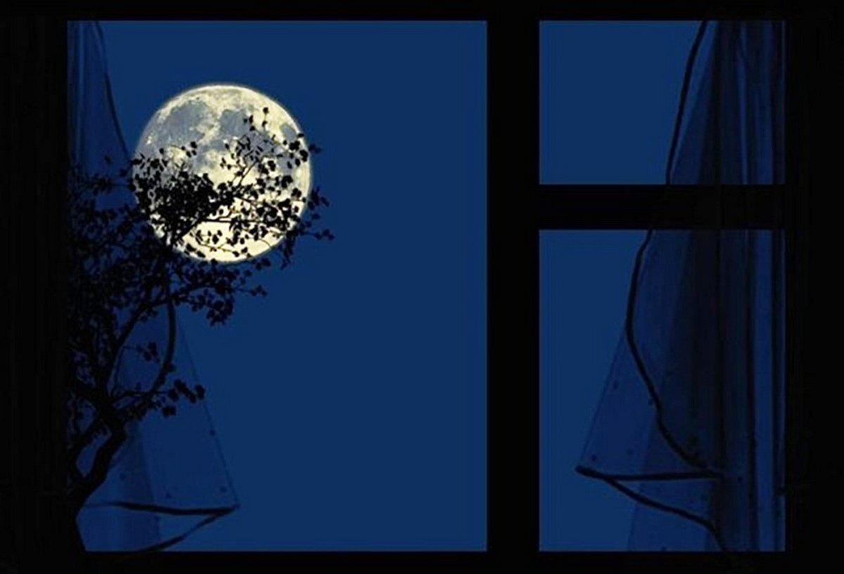 изображение из открытого источника