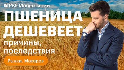 Россия увеличивает экспорт пшеницы, а цены на неё упали. Что происходит на рынке и кто бенефициар