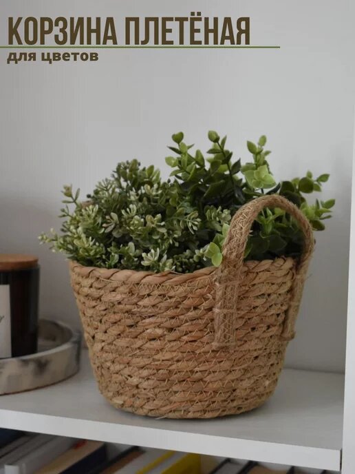 Арт. 203594031, цена 705 руб.