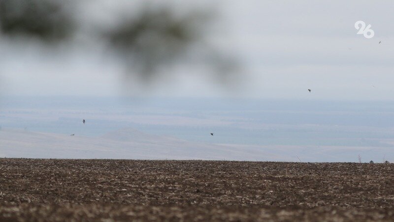      Фото: ИА «Победа26»