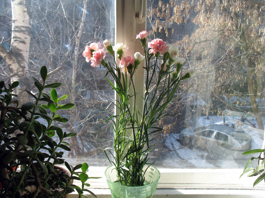 Изображение из открытых источников