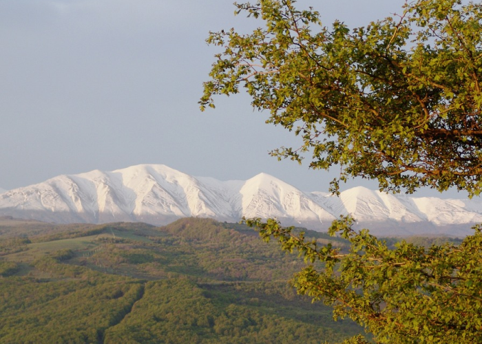 Автор: tarslan Источник: https://pixabay.com/photos/mountains-alatavia-dagestan-2538937/