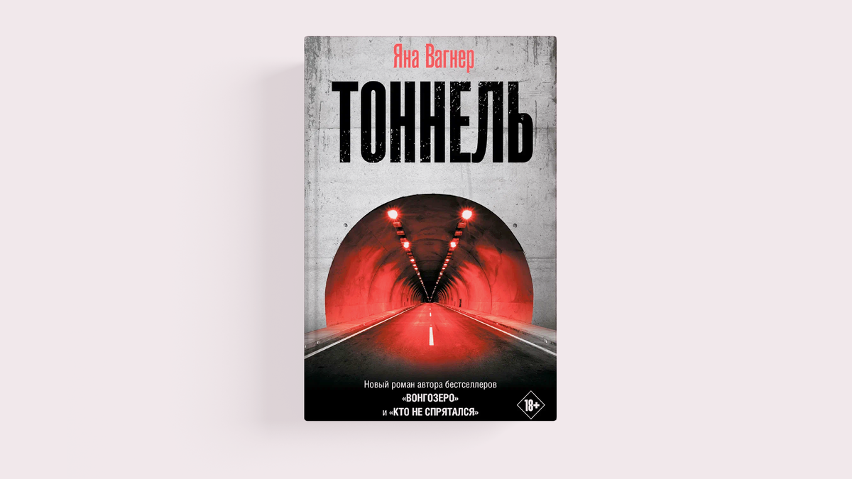 Обычный триллер или мысленный эксперимент. Рецензия на роман «Тоннель» Яны  Вагнер | VK Гид | Дзен