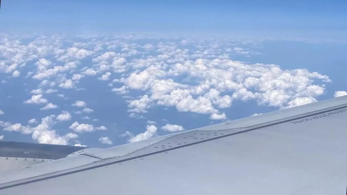     Над Казанью пролетал самолет Ил-96 из президентского летного отряда «Россия». Он добрался до Уфы, но вернулся в Москву. При этом воздушное судно вылетело именно оттуда. Такие данные отображает сервис Flightradar.