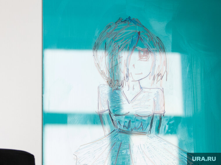    Японское аниме, персонажи которого размещены на обложке, содержит сцены насилия и эротические сцены