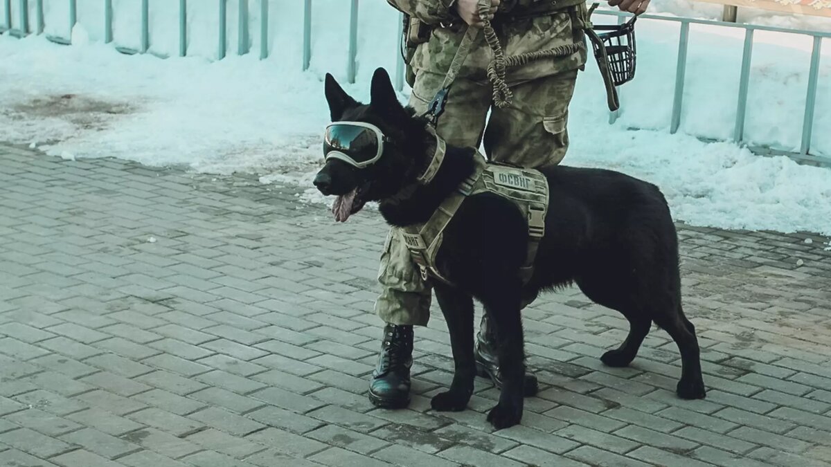     В Тюмени эвакуировали посетителей из ТРЦ «Гудвин». Об этом в редакцию «Наш город» сообщили очевидцы.