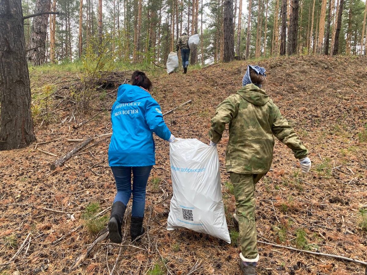 Экологический образ жизни — это модно | Абакан 24|Новости|Информационный  канал | Дзен