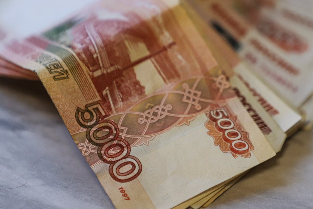 Фото: Илья Тушев / "Вести Подмосковья"