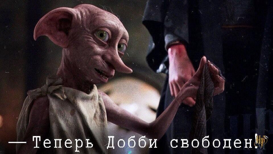 Фото из открытого доступа интернета. https://dzen.ru/a/XrKpeGztskAkg2Yv