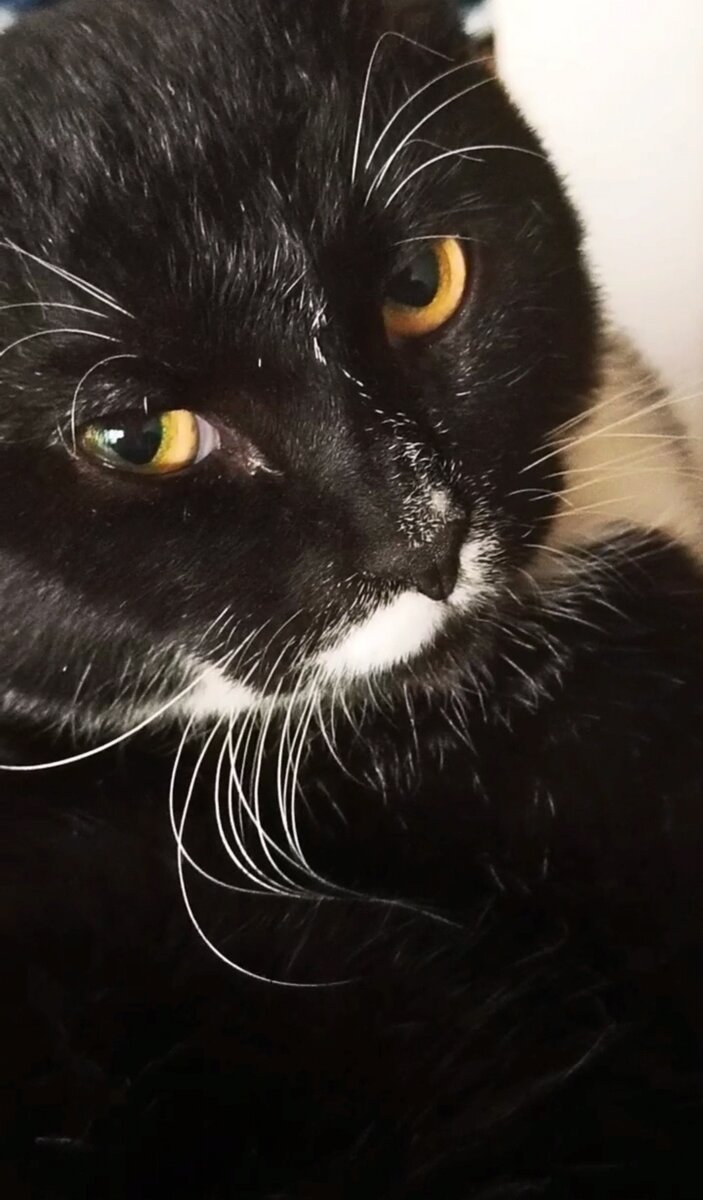 Мы с Феликсом немножко расстроились😼