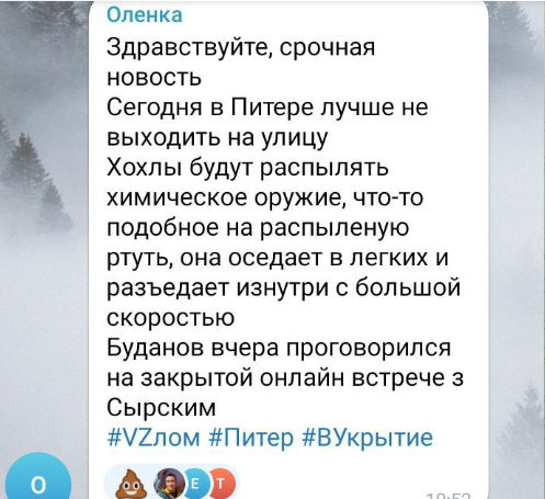    Скриншот:Telegram/Colonelcassad