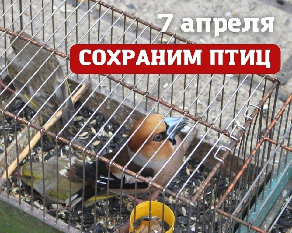    Фото АНО "Наша природа" Предоставлено