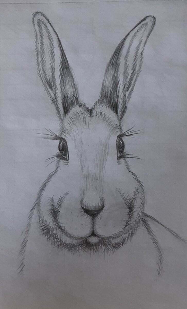 При чём здесь зайка поймёте позже.)))