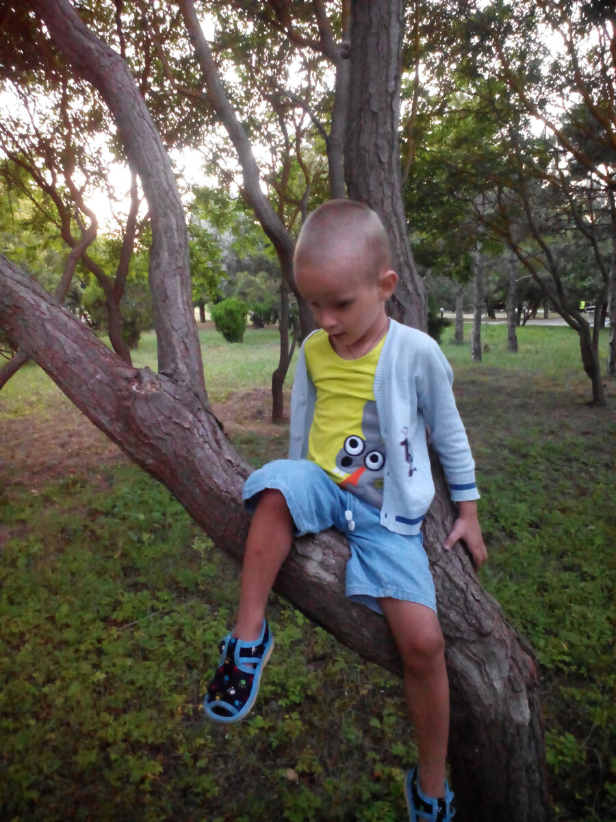 В Евпатории ребёнок требовал "кабаськи" 