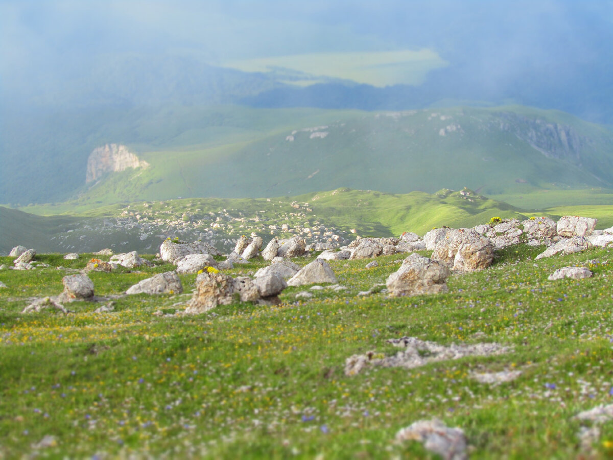 Каменная река 