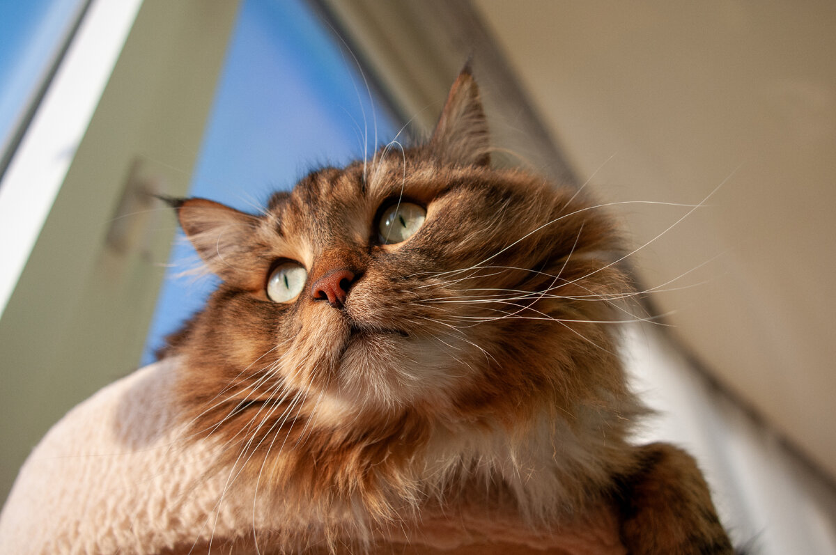 фото Svetlana Vozmilova/Global Look Press 