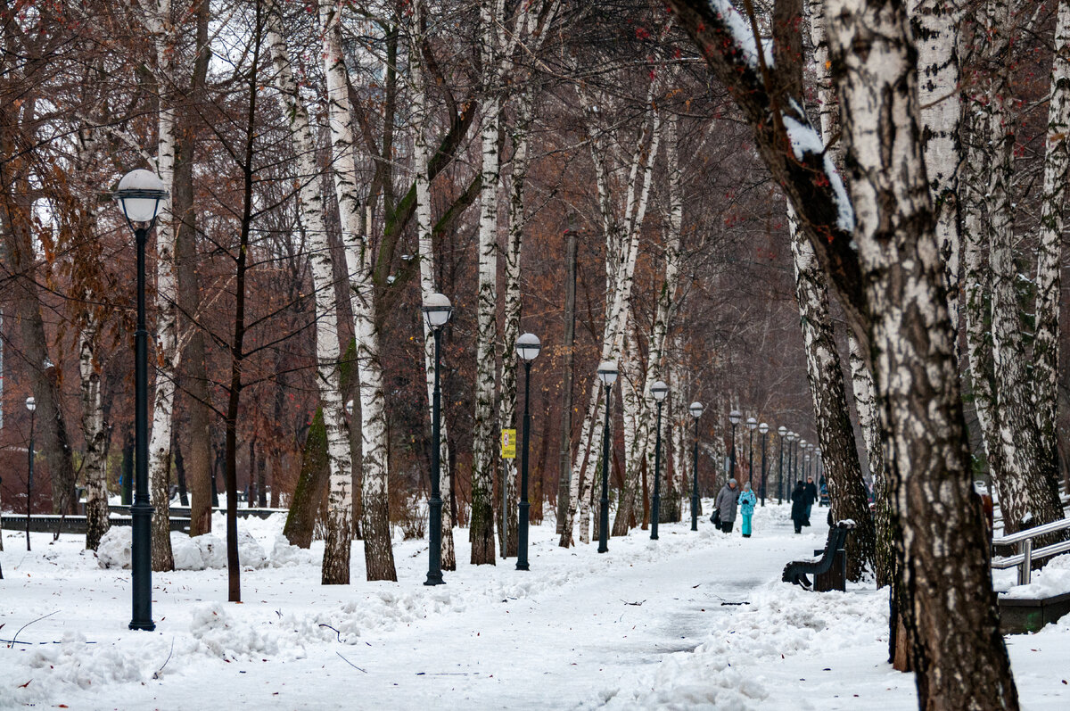 фото Svetlana Vozmilova/Global Look Press 