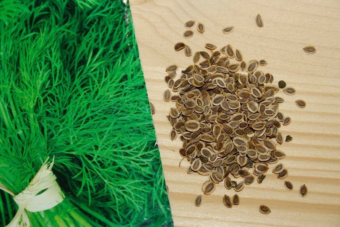 Фото с яндекса